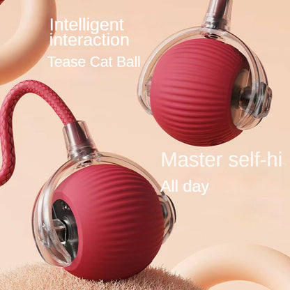 Chew-resistant 360° Intelligent Auto-interactive Ball Toy for Cats and Dogs with a USB Rechargeable Rolling Ball