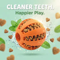 Pawssie  Interactive Treat Ball